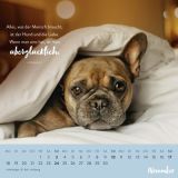 Für Hundefreunde 2024 - Wandkalender