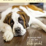 Stimmungsbild zu Hunde sind die besten Freunde 2026 - Wochenkalender