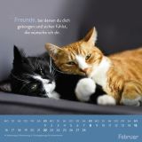 Stimmungsbild zu Einfach mal abhängen 2026 - Wandkalender