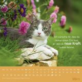 Stimmungsbild zu Einfach mal abhängen 2026 - Wandkalender