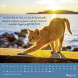 Stimmungsbild zu Einfach mal abhängen 2026 - Wandkalender