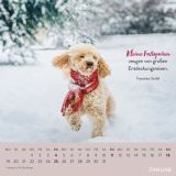 Stimmungsbild zu Für Hundefreunde 2026 - Wandkalender