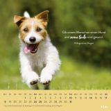 Stimmungsbild zu Für Hundefreunde 2026 - Wandkalender