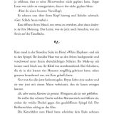 Stimmungsbild zu Der zweite Bräutigam