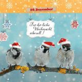 24 x Tierische Weihnachten - Adventskalender