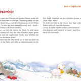 Stimmungsbild zu Rica erlebt die Waldweihnacht - Adventskalender