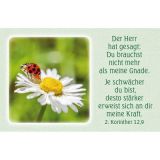 Stimmungsbild zu Geborgen und gehalten - Karten