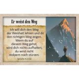 Stimmungsbild zu Survival-Kit - Karten