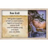 Stimmungsbild zu Survival-Kit - Karten
