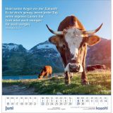 Stimmungsbild zu Glanz der Berge 2025