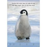 Stimmungsbild zu Meine kleine Welt 2025