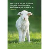 Stimmungsbild zu Meine kleine Welt 2025
