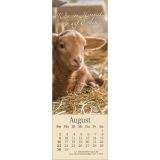 Stimmungsbild zu Sei behütet jeden Tag 2026 - Lesezeichen-Kalender