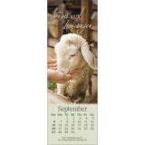 Stimmungsbild zu Sei behütet jeden Tag 2026 - Lesezeichen-Kalender