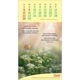 Stimmungsbild zu Vitamine fürs Herz 2025