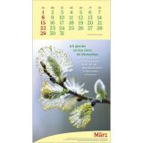 Stimmungsbild zu Vitamine fürs Herz 2026 - Wandkalender