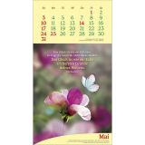 Stimmungsbild zu Vitamine fürs Herz 2026 - Wandkalender