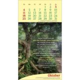 Stimmungsbild zu Vitamine fürs Herz 2026 - Wandkalender