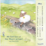 Stimmungsbild zu Freu dich mit uns! 2026 - Postkartenkalender