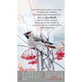 Beflügelt und geborgen 2024 - Postkartenkalender