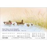 Stimmungsbild zu Er sendet Tau und Regen 2026 - Aufstellkalender
