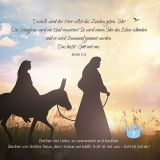 Stimmungsbild zu Warten auf den König - Adventskalender