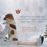 Stimmungsbild zu Warten auf den König - Adventskalender