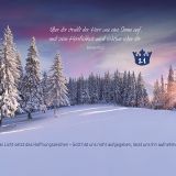 Stimmungsbild zu Warten auf den König - Adventskalender