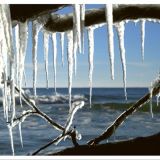 Stimmungsbild zu Bin am Meer - Postkartenbuch