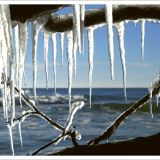 Stimmungsbild zu Bin am Meer - Postkartenbuch