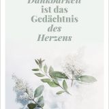 Stimmungsbild zu Schön! - Postkartenbox
