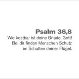 Stimmungsbild zu Wertvollwort. - Die Bibel