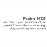 Stimmungsbild zu Wertvollwort. Die Bibel - 31x Perspektivwechsel