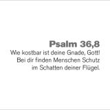 Stimmungsbild zu Wertvollwort. Die Bibel - 31x Perspektivwechsel