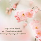 Stimmungsbild zu Herzlichen Glückwunsch - Postkartenbuch