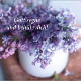 Stimmungsbild zu Herzlichen Glückwunsch - Postkartenbuch