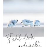 Unendlich geliebt - Postkartenset