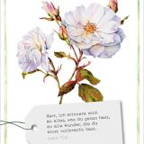 GartenGlück - Postkartenset