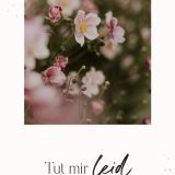 Stimmungsbild zu Meinen Frieden gebe ich dir - Postkartenset
