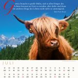 Der Bergkalender 2024 - Postkartenkalender