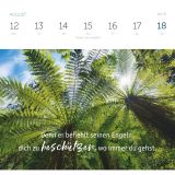 Grüne Wunder - blaue Weiten 2024 - Tischkalender