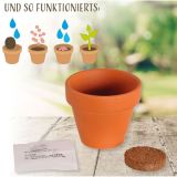 Stimmungsbild zu Blumenüberraschung "Frohe Ostern"