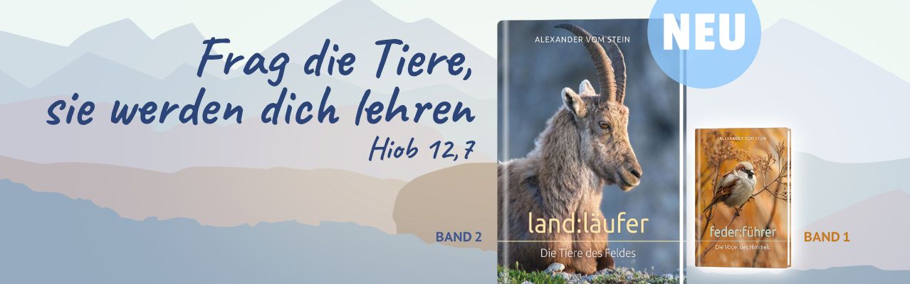 Buchung Daniel-Verlag Land:läufer bis 5.5. Pos. 1,  dann Pos.2