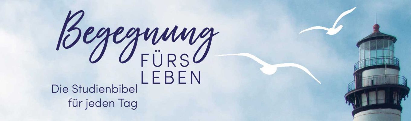 Bild zum Beitrag - Begegnung fürs Leben