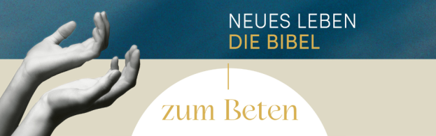 Bild zum Beitrag - Die Bibel zum Beten