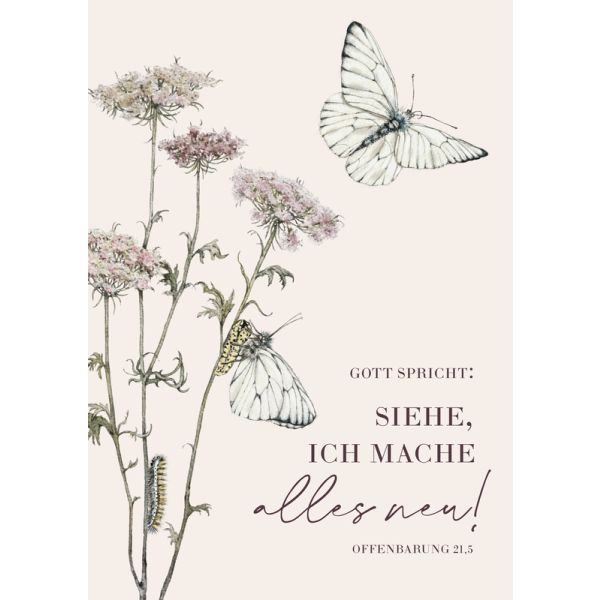 Motiv Schmetterling 2