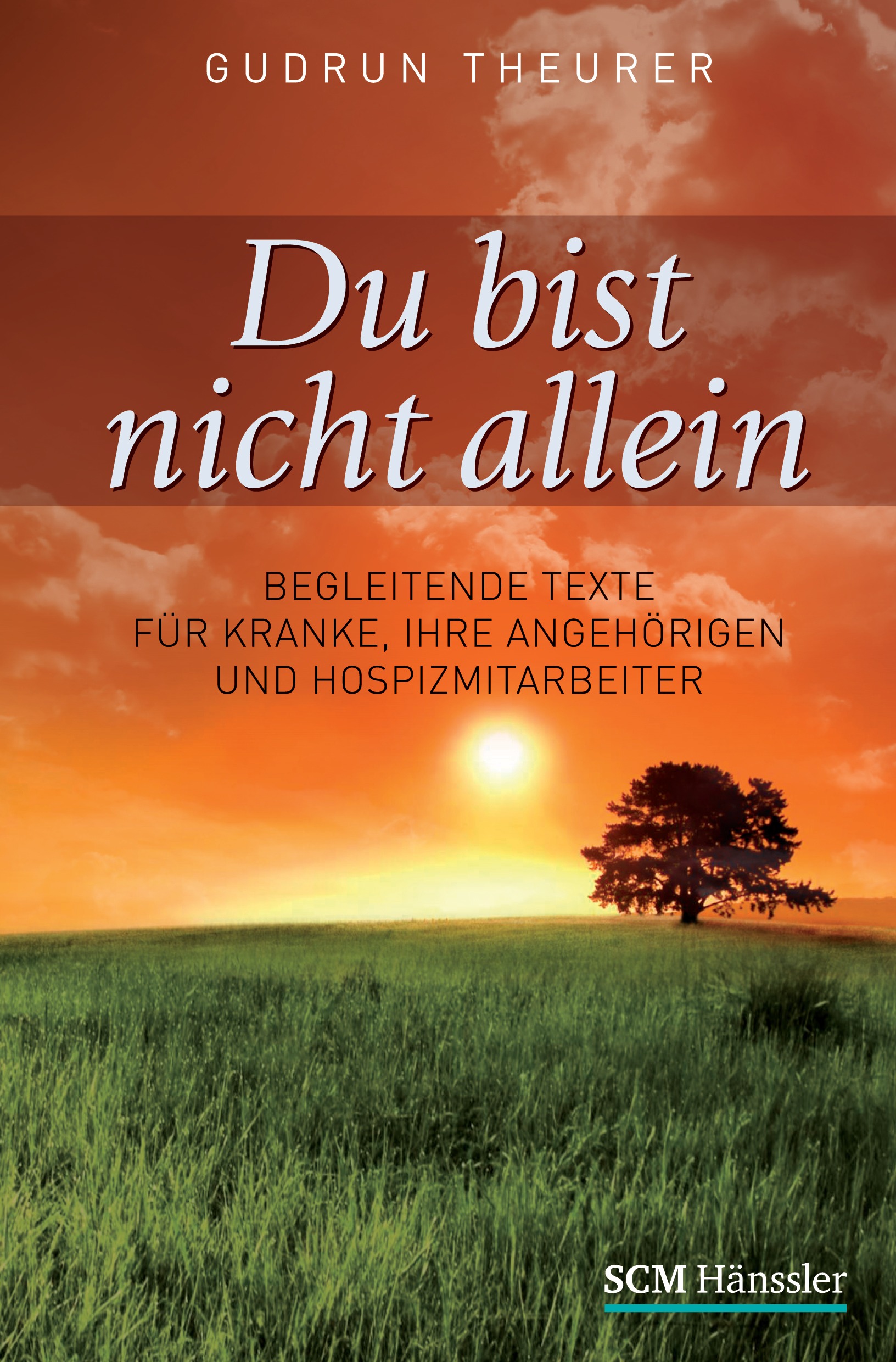 Du bist nicht allein (Buch Gebunden)