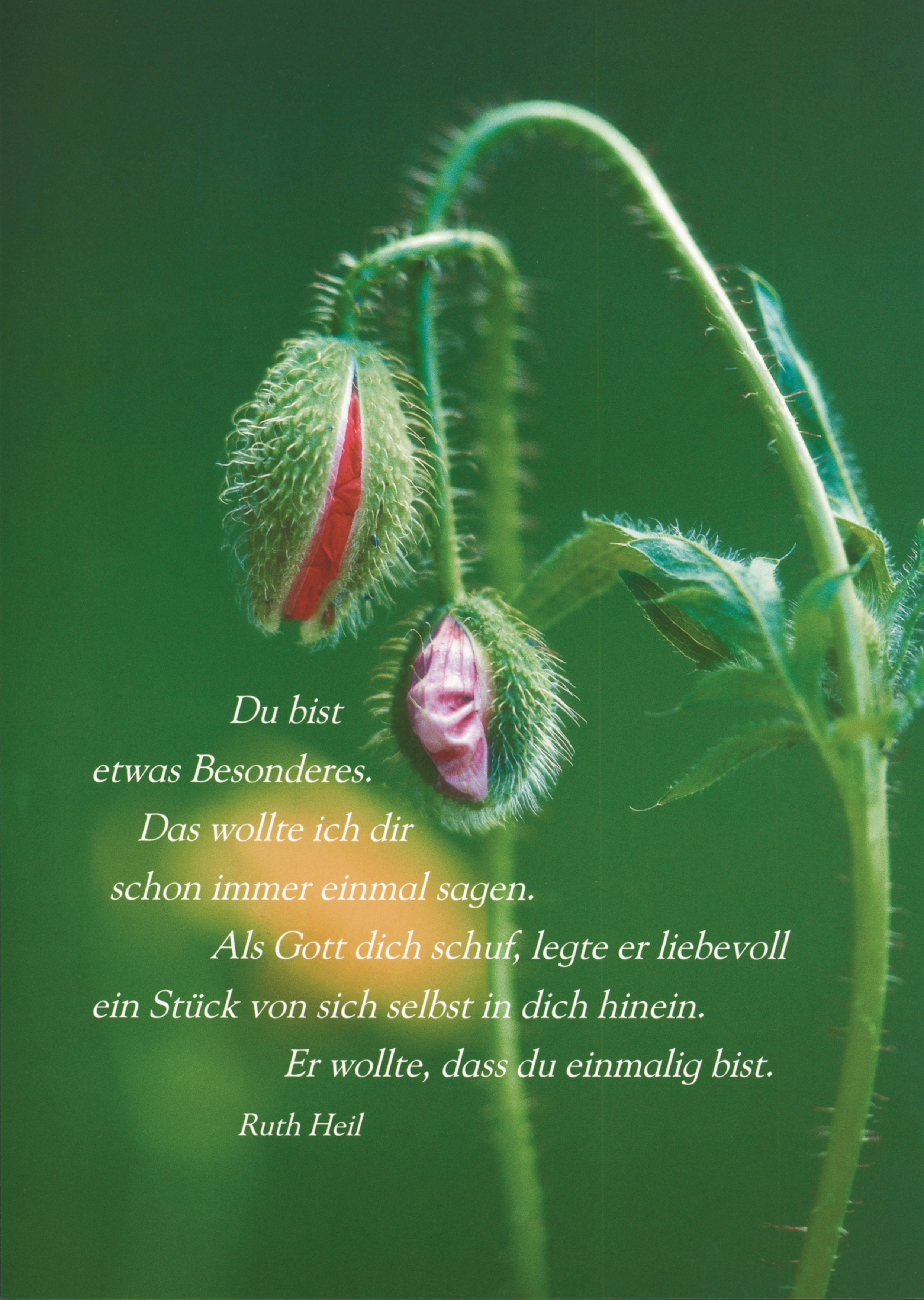 Get Du bist var besonderes texte For Android