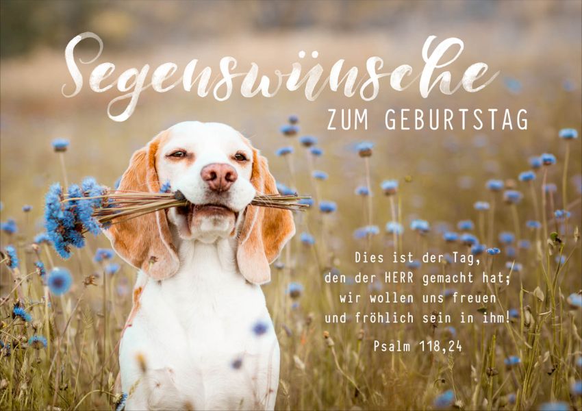 Geburtstagskarte Für Hundemütter – Graviert, Aus Edelstahl, 8,5x5,4 Cm, Geschenk Vom Hund