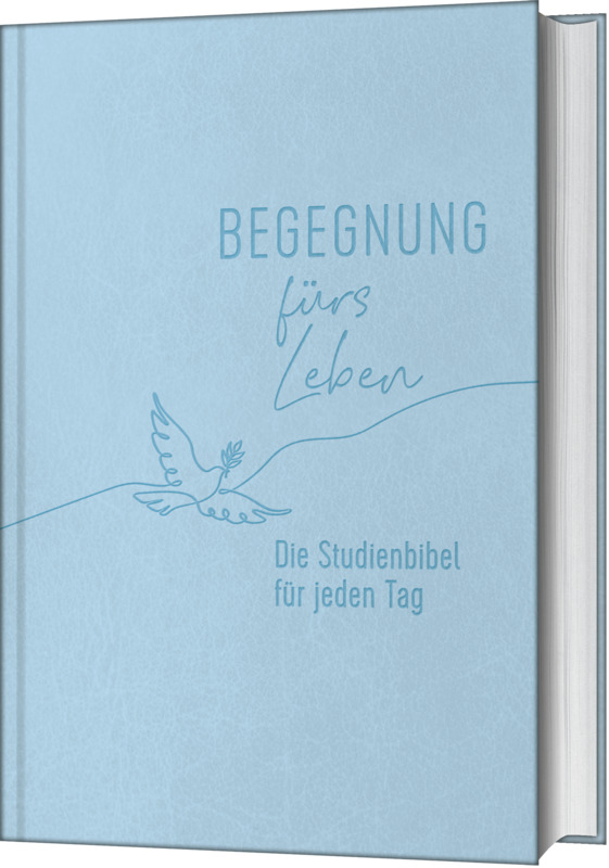 Begegnung fürs Leben, Kunstleder - Cover